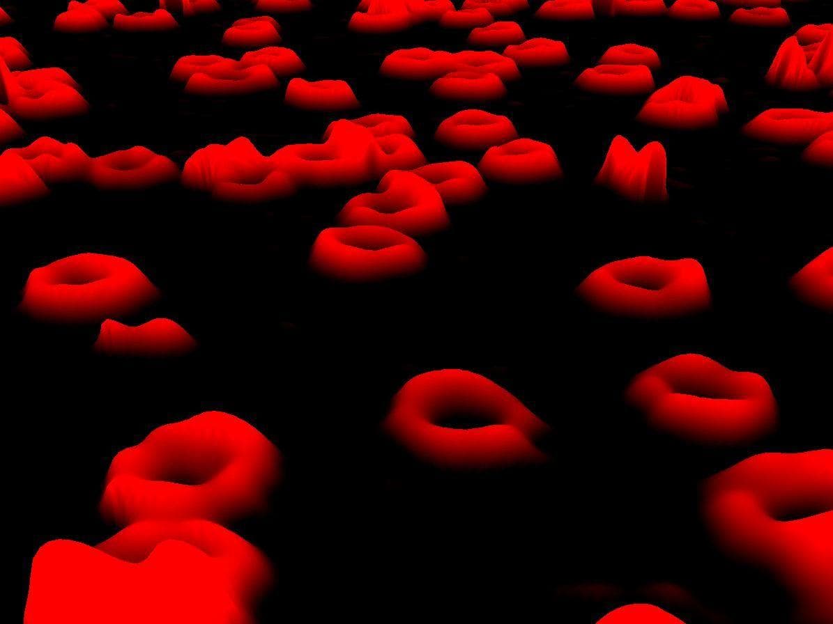 Our Bodies Shut Down Gradually, Not All At Once