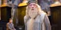 Dumbledore From 'Harry Potter' Is Gay on Random Crazy Fan Theories