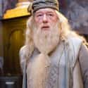 Dumbledore From 'Harry Potter' Is Gay on Random Crazy Fan Theories