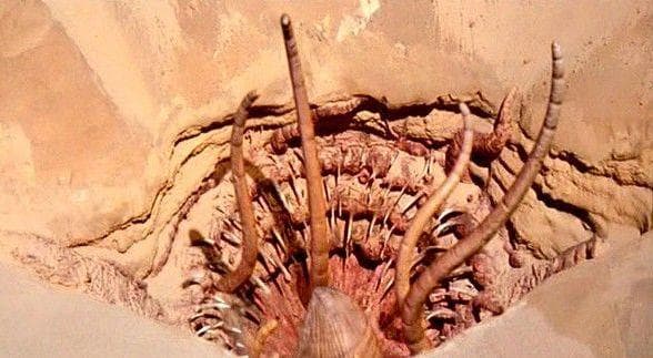 Сарлак звездные войны схема