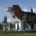 Dog Bark Park Inn, Cottonwood, ID on Random Weirdest Monuments In United States That You Can Visit
