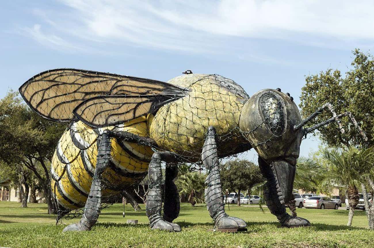 World's Largest Killer Bee, Hidalgo, TX