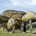 World's Largest Killer Bee, Hidalgo, TX on Random Weirdest Monuments In United States That You Can Visit