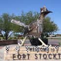 Paisano Pete, Fort Stockton, TX on Random Weirdest Monuments In United States That You Can Visit