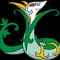 Serperior is listed (or ranked) 497 on the list Complete List of All Pokemon Characters