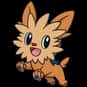 Lillipup is listed (or ranked) 506 on the list Complete List of All Pokemon Characters