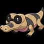 Sandile is listed (or ranked) 551 on the list Complete List of All Pokemon Characters