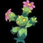 Maractus is listed (or ranked) 556 on the list Complete List of All Pokemon Characters