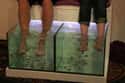 Fish Pedicure on Random Animal Beauty Treatments That Put Wild Into Your Look