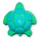 Turtle on Random Best Lush Bath Bombs