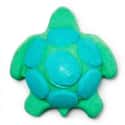 Turtle on Random Best Lush Bath Bombs