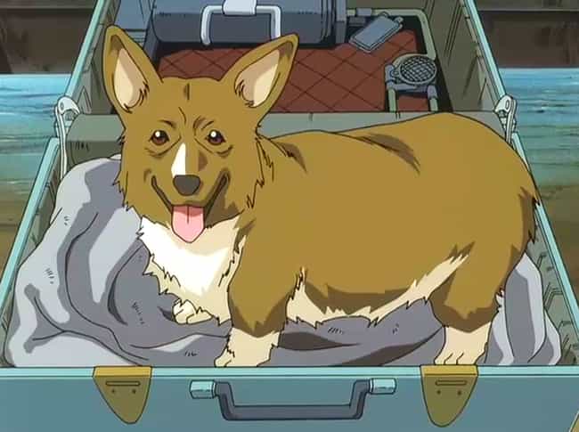 Anime Dog - doge anime roblox