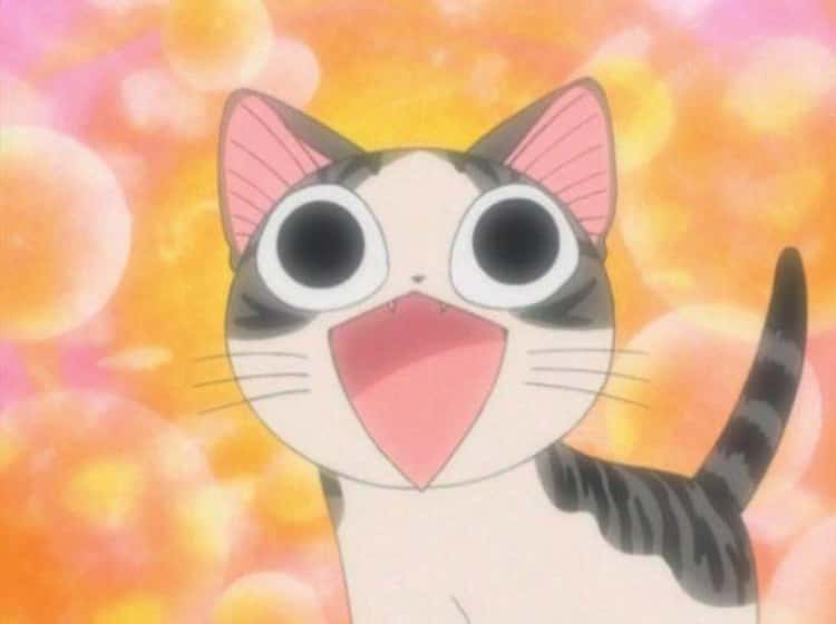 The 15 Greatest Anime Cats You Desperately Want To Pet