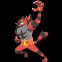 Incineroar on Random Best Generation 7 Pokémon