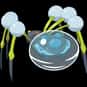 Araquanid is listed (or ranked) 43 on the list The Best Generation 7 Pokémon