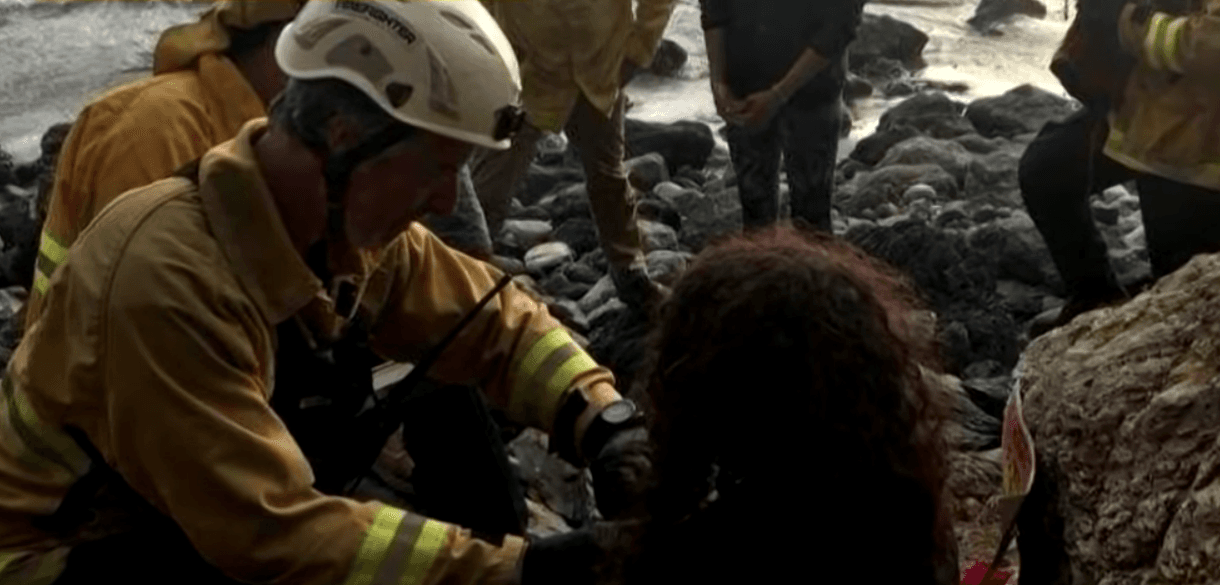 Missing People Who Were Found Alive