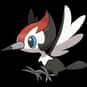 Pikipek is listed (or ranked) 731 on the list Complete List of All Pokemon Characters