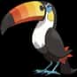 Toucannon is listed (or ranked) 733 on the list Complete List of All Pokemon Characters