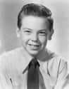 Bobby Driscoll Was Fired By Disney After He Got Acne During Puberty on Random In Old Hollywood Child Stars Were Forced To Do Drugs, And Other Awful Realities