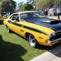 1970 Dodge Challenger T/A on Random Most Impressive Cars From Jerry Seinfeld's 'Comedians In Cars Getting Coffee'