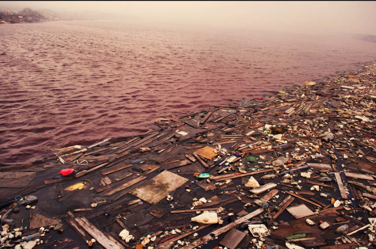 The North Atlantic Garbage Patch