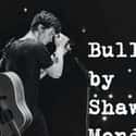 Bullied by Shawn Mendes is listed (or ranked) 1 on the list The Hottest Shawn Mendes Fanfiction Stories, Ranked