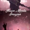 shawn mendes imagines is listed (or ranked) 13 on the list The Hottest Shawn Mendes Fanfiction Stories, Ranked