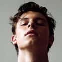 Who do you think you are? is listed (or ranked) 23 on the list The Hottest Shawn Mendes Fanfiction Stories, Ranked