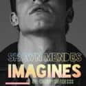 Shawn Mendes Imagines is listed (or ranked) 15 on the list The Hottest Shawn Mendes Fanfiction Stories, Ranked