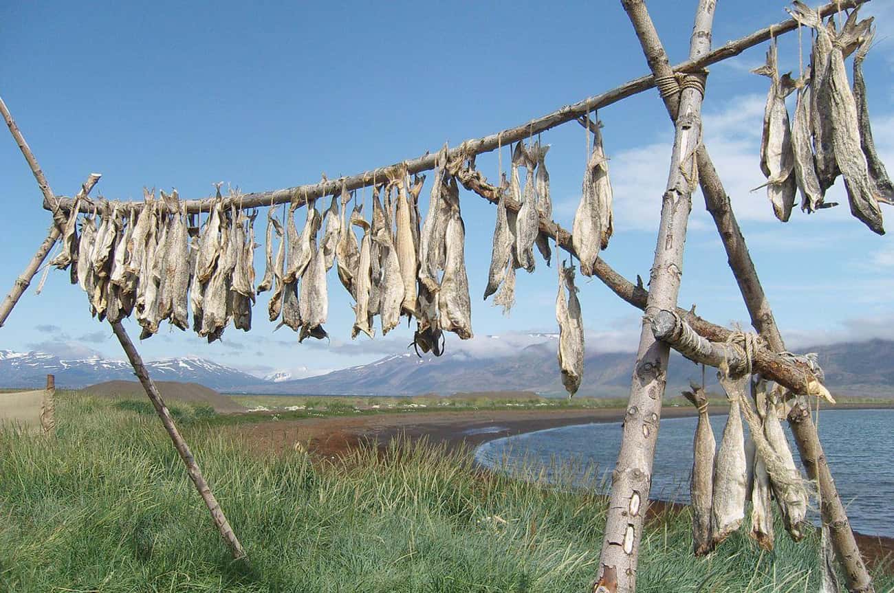 Vikings Traveled With Preserved Fish To Keep Them Full Of Protein
