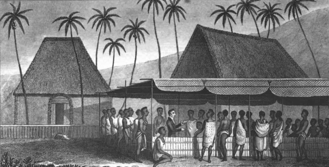 Missionaries And Whalers Brought Disease And Other Problems