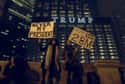 Protestors Make Residents Uncomfortable on Random Details about Inside Trump Tower