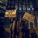 Protestors Make Residents Uncomfortable on Random Details about Inside Trump Tower