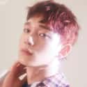 Chen is listed (or ranked) 7 on the list The Best Maknae Members In K-pop, Ranked