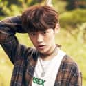 Chan is listed (or ranked) 30 on the list The Best Maknae Members In K-pop, Ranked