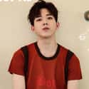 Dowoon is listed (or ranked) 11 on the list The Best Maknae Members In K-pop, Ranked