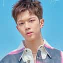 Hoeseung is listed (or ranked) 41 on the list The Best Maknae Members In K-pop, Ranked