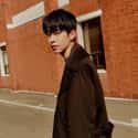 Donghyun is listed (or ranked) 25 on the list The Best Maknae Members In K-pop, Ranked