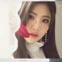 Hyeyeon is listed (or ranked) 43 on the list The Best Maknae Members In K-pop, Ranked
