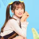 Arin is listed (or ranked) 44 on the list The Best Maknae Members In K-pop, Ranked
