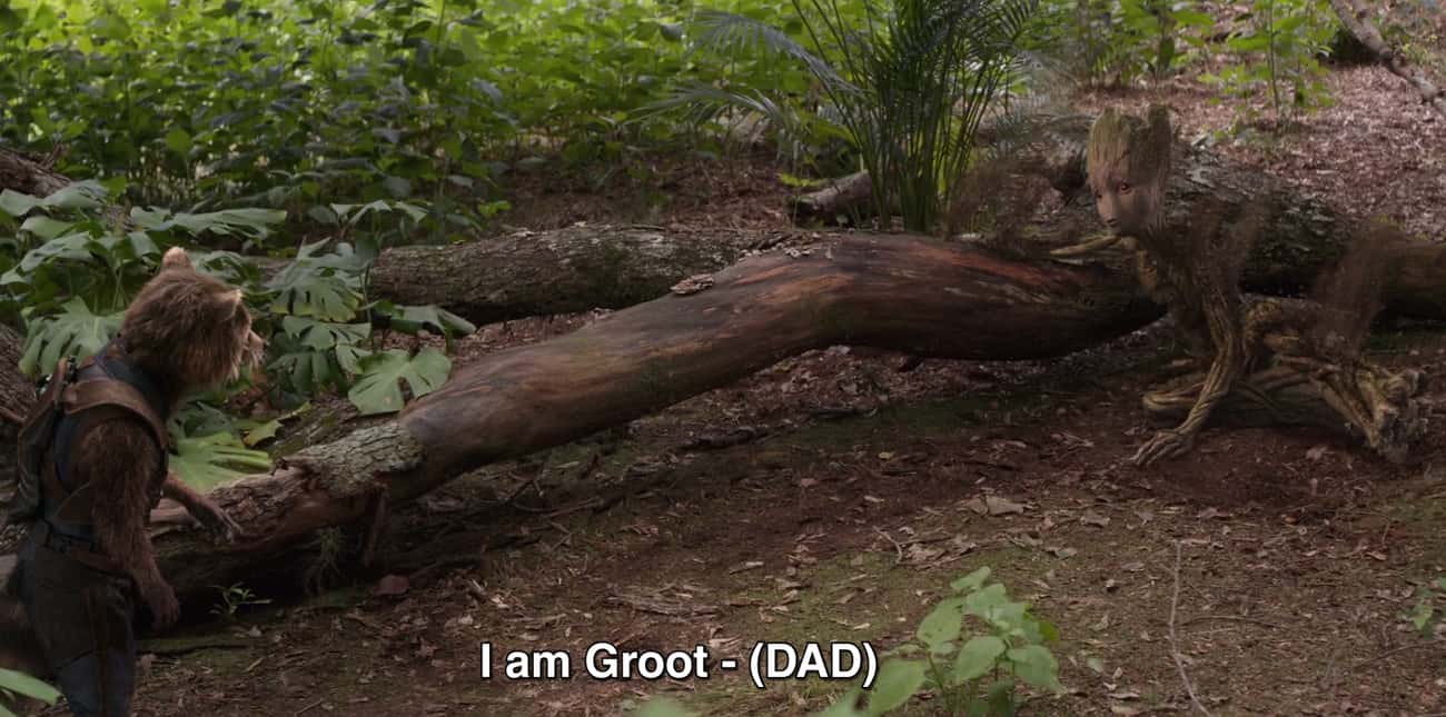 Groot’s Last Line To Rocket Is “Dad…”