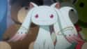 Kyuubey Lacks Emotions In 'Puella Magi Madoka Magica' on Random Best Quotes From Anime Villains