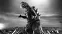 Godzilla (1954) on Random Movies Only Total Nerds Would Suggest For Date Night