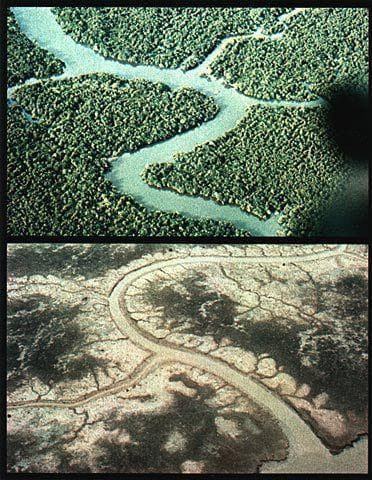 The Effects Of Agent Orange During The Vietnam War (12 Photos)