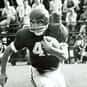 Jack Brasuell is listed (or ranked) 13 on the list The Best Arkansas Razorbacks Running Backs of All Time