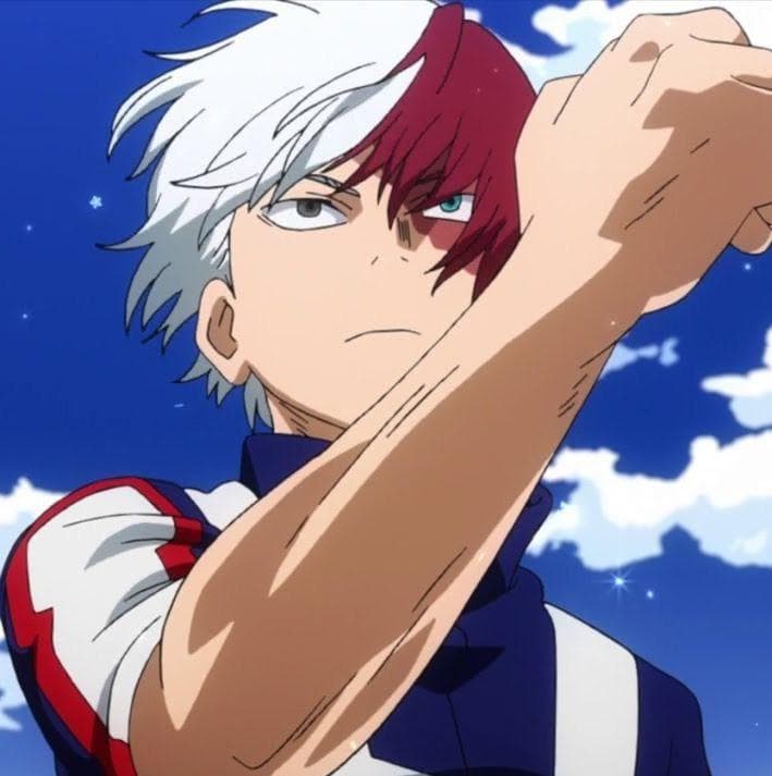 The 15+ Best Shoto Todoroki Quotes From My Hero Academia