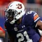 Kerryon Johnson is listed (or ranked) 5 on the list The Best Auburn Tigers Running Backs of All Time