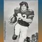 Terry Henley is listed (or ranked) 26 on the list The Best Auburn Tigers Running Backs of All Time