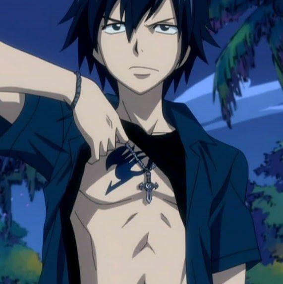 The 20+ Best Gray Fullbuster Quotes (With Images)