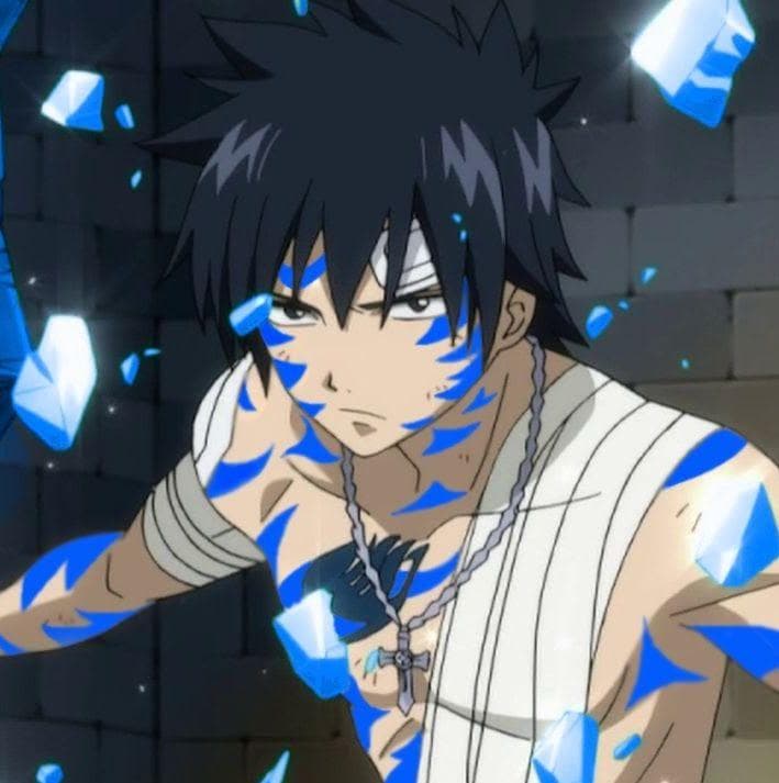 The 20+ Best Gray Fullbuster Quotes (With Images)